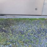 The Fishing Camp & RV Park