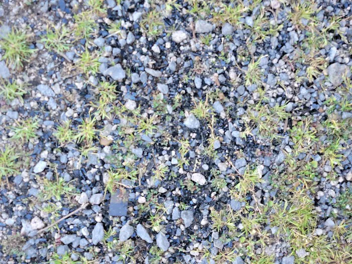 The Fishing Camp & RV Park Picture 2