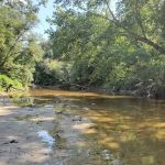 Red Bluff Campground