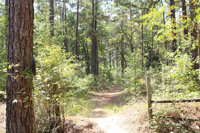 Red Bluff Campground Picture 9