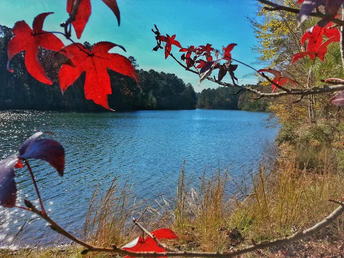 Camp T.L. James Picture 1