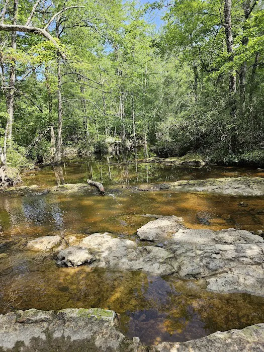 Lotus Campground Picture 2