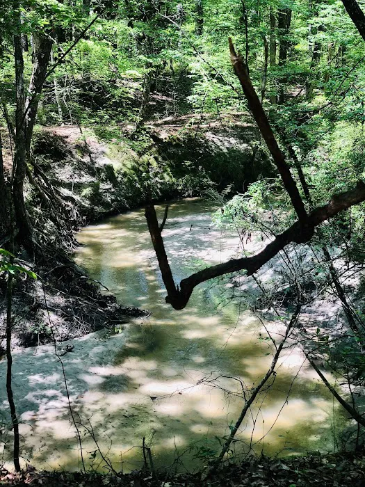 Lotus Campground Picture 3