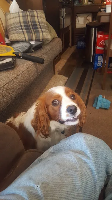 Appleton Lions Park Campground Picture 6