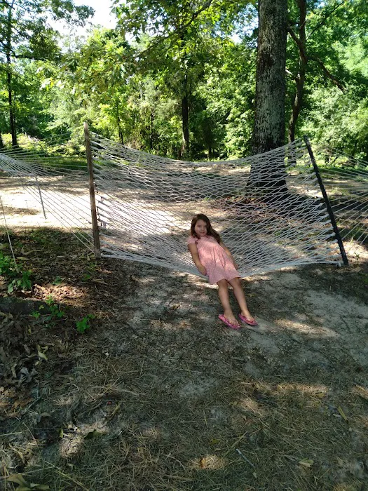 Coalfire Campground and Rv park Picture 8