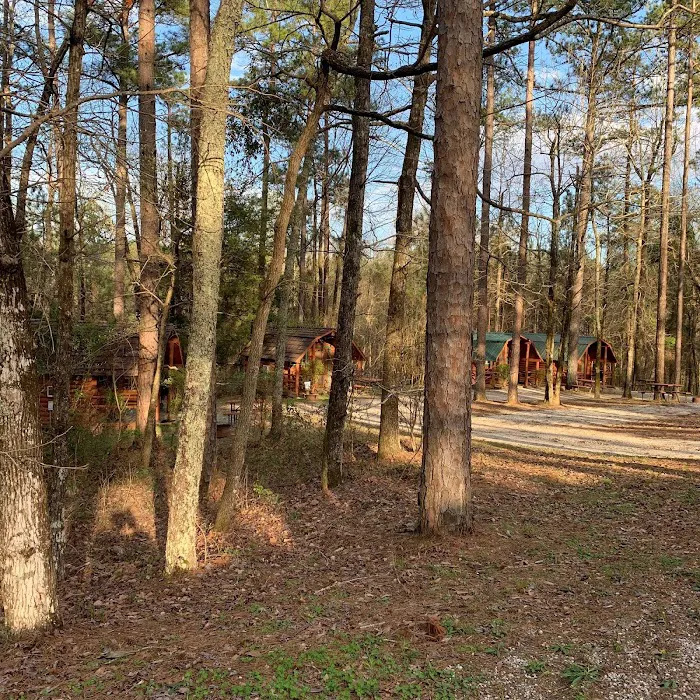 Meridian East / Toomsuba KOA Journey Picture 5