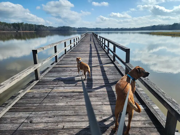 Lake Tom Bailey Picture 3