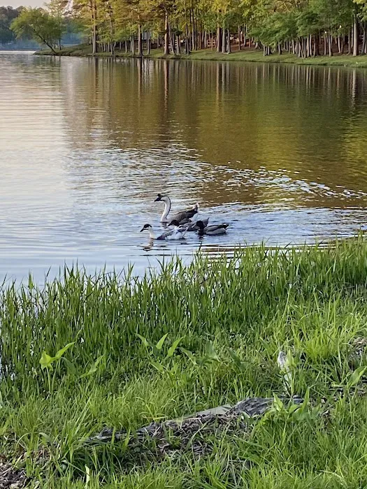 Archusa Creek Park Picture 6