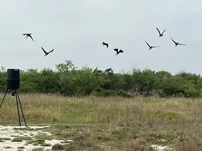 Mamaw's Coastal Hideaway Picture 3