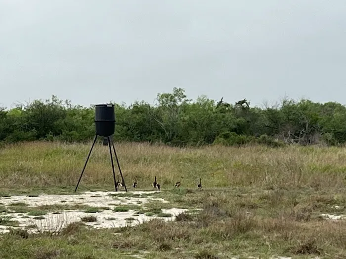 Mamaw's Coastal Hideaway Picture 6