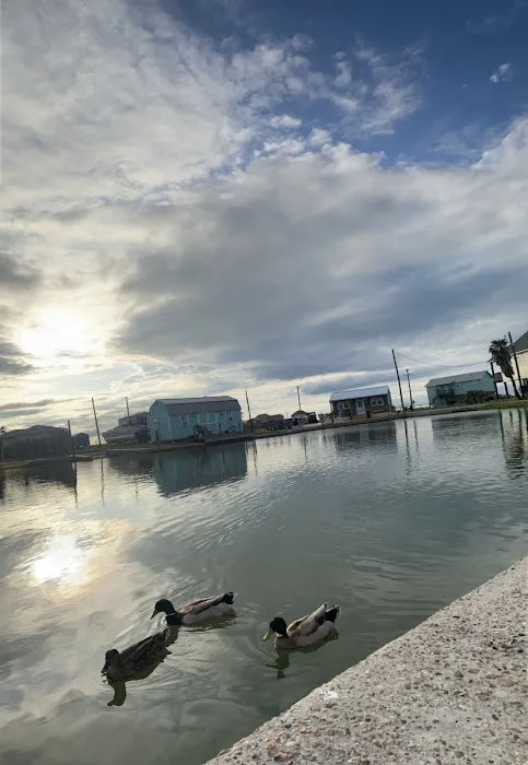 Island In The Sun Picture 1