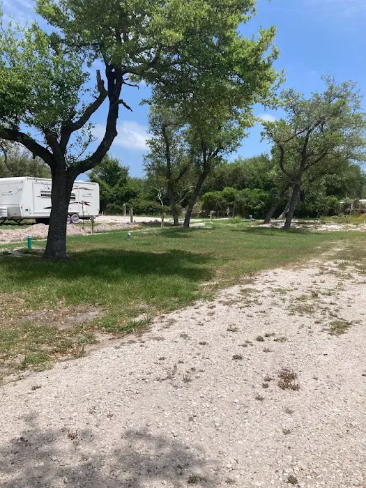 Pelican Paradise Picture 2