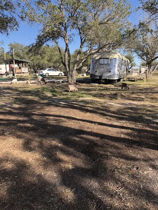 Vintage RV Farm Picture 10