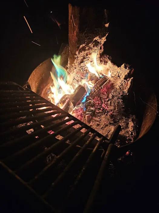 Catfish Alley Campground Picture 1