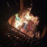 Catfish Alley Campground