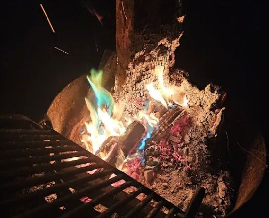 Catfish Alley Campground