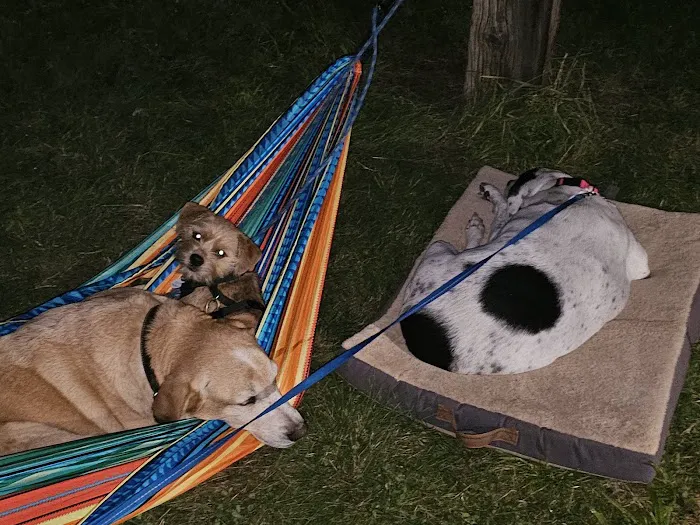 Catfish Alley Campground Picture 4