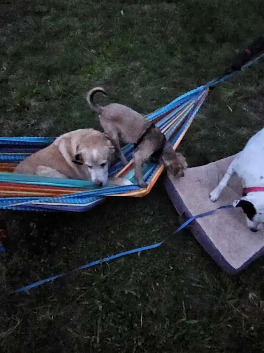 Catfish Alley Campground Picture 7