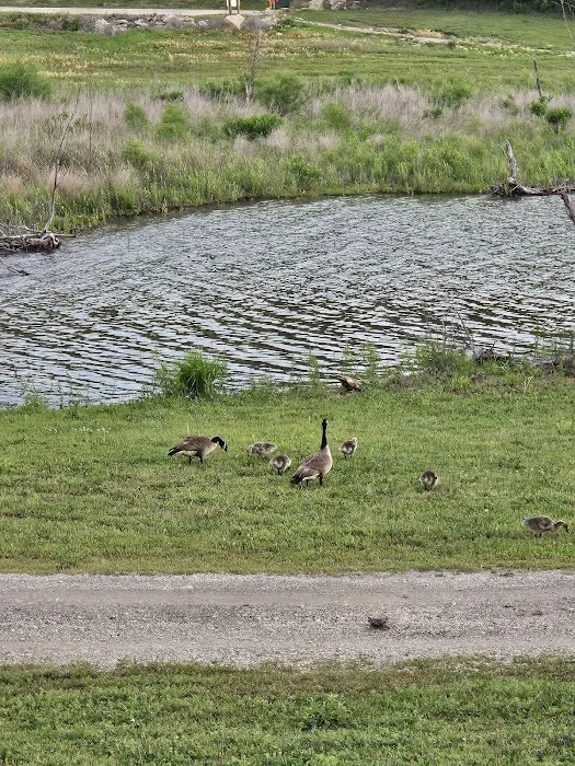 Catfish Alley Campground Picture 2