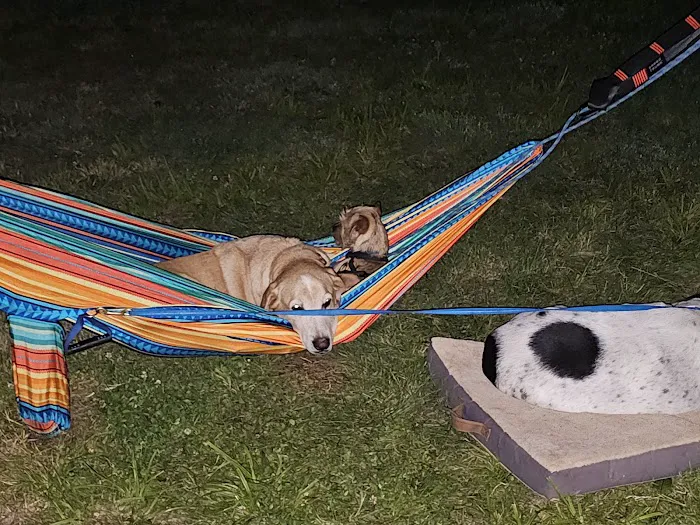 Catfish Alley Campground Picture 9