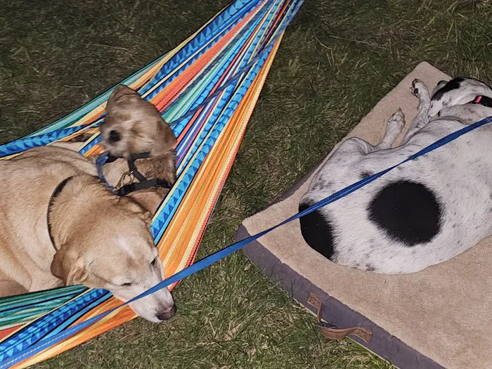 Catfish Alley Campground Picture 3