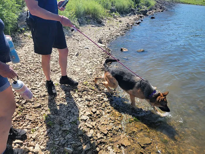 Cougar Pass Campground Picture 2