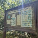 Cougar Pass Campground