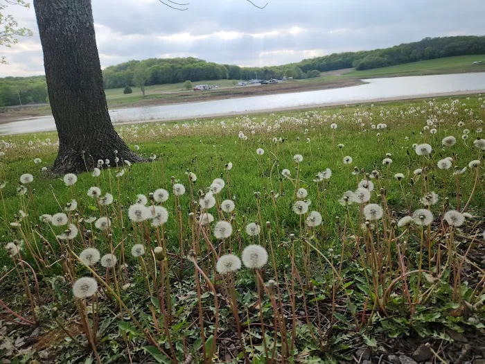 Rock creek recreation area Picture 10