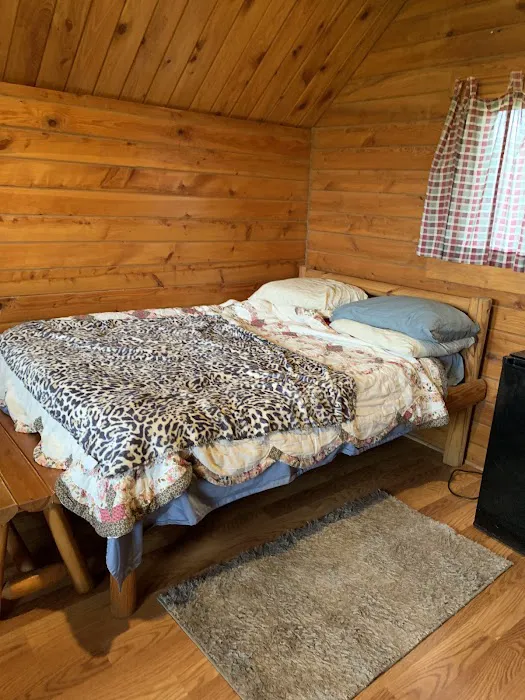 Kansas City West / Lawrence KOA Holiday Picture 3