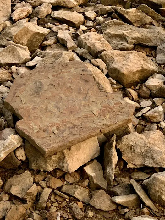 Prairie Clover Campground Picture 4