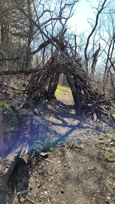 Coneflower Campground Picture 2