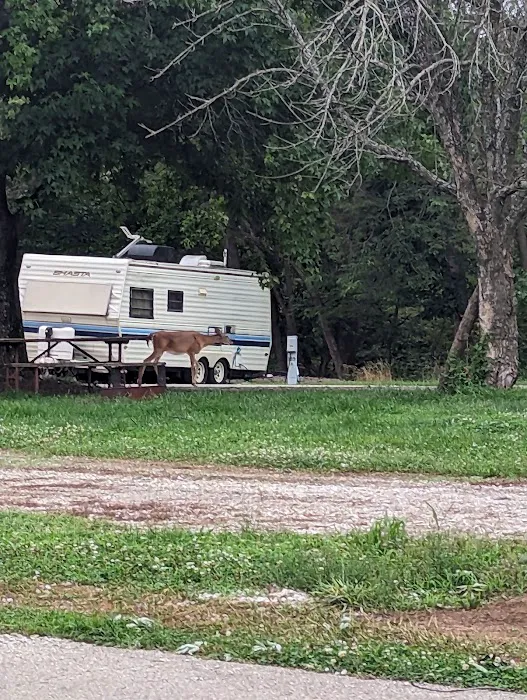 Coneflower Campground Picture 4