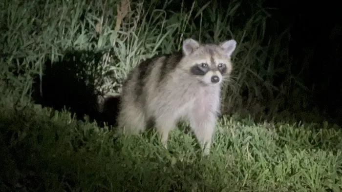 Cedar Ridge Campground Picture 5