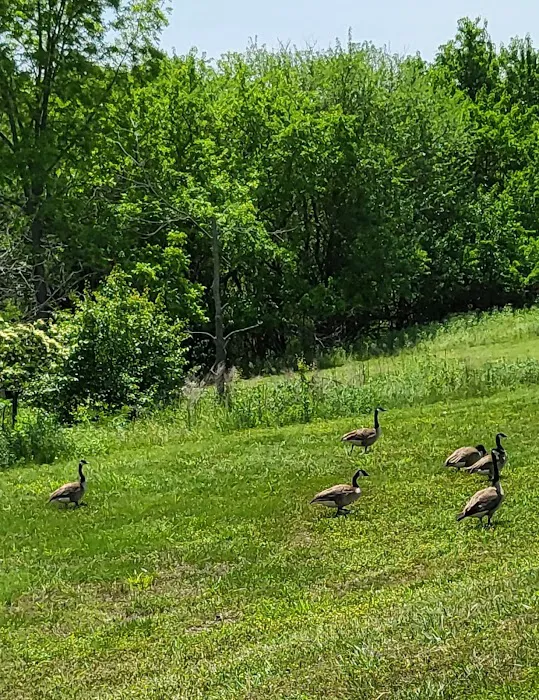 Cedar Ridge Campground Picture 10