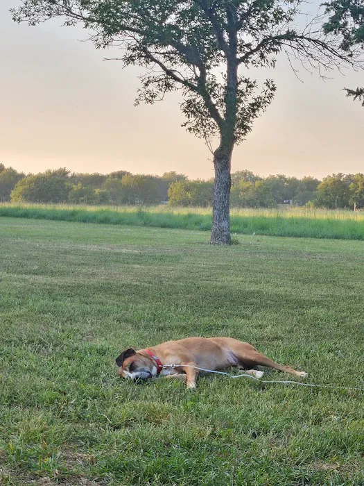 Hickory Campground Picture 5