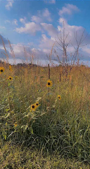 Hickory Campground Picture 10