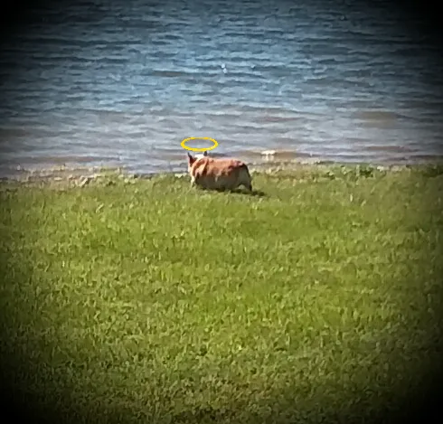 Bloomington East Picture 1