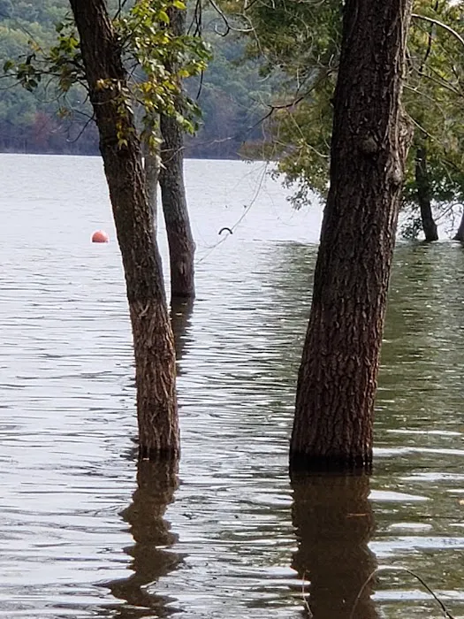 Walnut Campground Picture 6