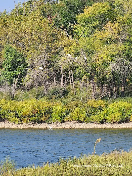 Walnut Campground Picture 1