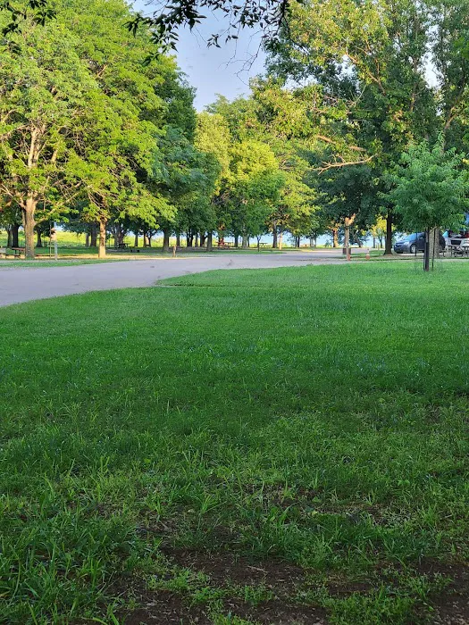 Walnut Campground Picture 9