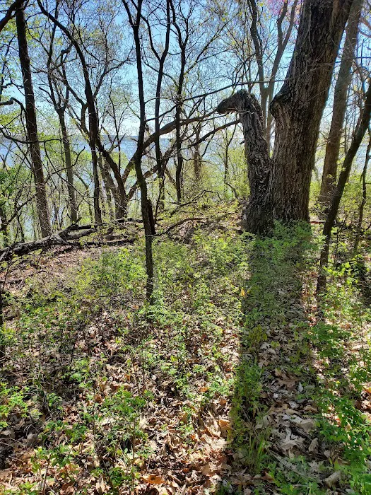 Bloomington West Campground Picture 10