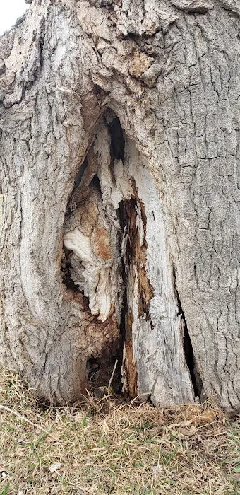 Rocky Pond Campground Picture 9