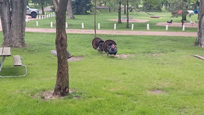 George H Clayton Campground Picture 1