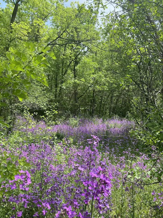 George H Clayton Campground Picture 6