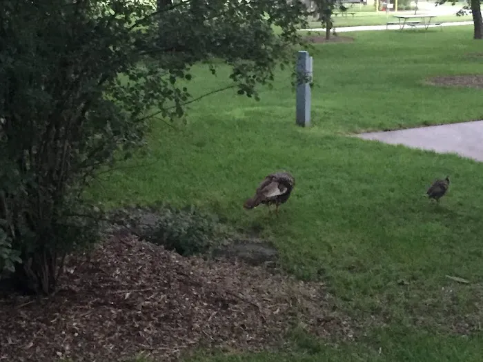 George H Clayton Campground Picture 5
