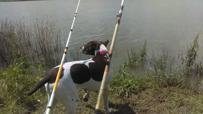 Site #11 - Centralia Lake Picture 4