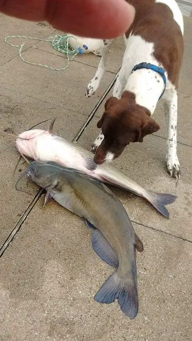 Site #11 - Centralia Lake Picture 2