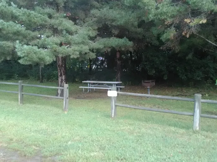 Carney Park Campground Picture 6