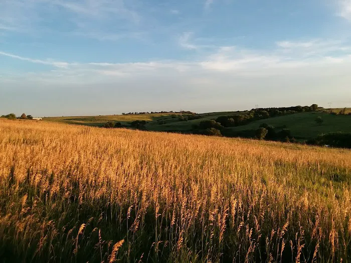 Redwood Area Campground Picture 6