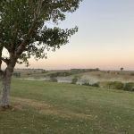 Redwood Area Campground